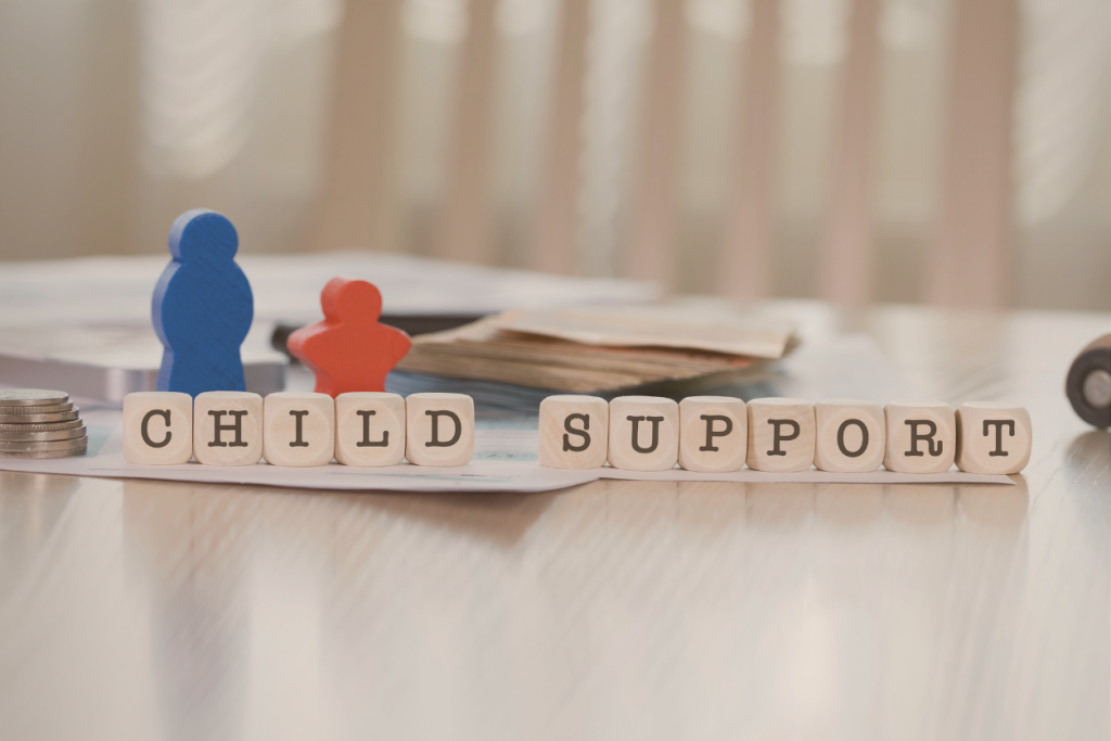Child Support law - family law