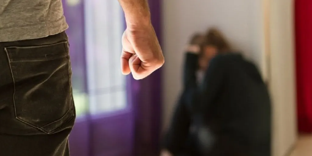 partner abuse