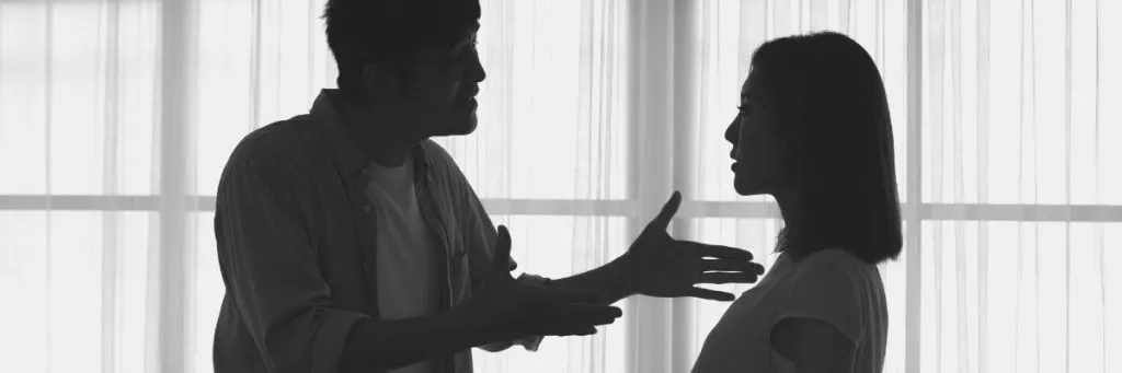 Pregnancy-Domestic-Violence-Website-Header-1200-400-1024x341-1.jpg